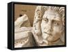 Medusa Head, Forum, Leptis Magna, Libya, North Africa-Nico Tondini-Framed Stretched Canvas