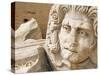 Medusa Head, Forum, Leptis Magna, Libya, North Africa-Nico Tondini-Stretched Canvas