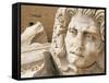 Medusa Head, Forum, Leptis Magna, Libya, North Africa-Nico Tondini-Framed Stretched Canvas