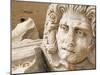 Medusa Head, Forum, Leptis Magna, Libya, North Africa-Nico Tondini-Mounted Photographic Print