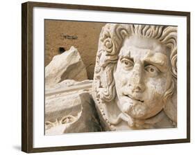 Medusa Head, Forum, Leptis Magna, Libya, North Africa-Nico Tondini-Framed Photographic Print