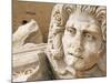 Medusa Head, Forum, Leptis Magna, Libya, North Africa-Nico Tondini-Mounted Photographic Print