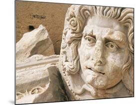 Medusa Head, Forum, Leptis Magna, Libya, North Africa-Nico Tondini-Mounted Photographic Print