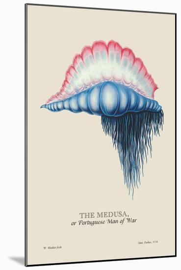 Medusa, or Portuguese Man of War-J. Forbes-Mounted Art Print