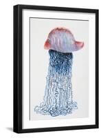 Medusa (Physalis Pelagic)-null-Framed Giclee Print