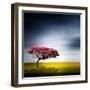 Medusa-Philippe Sainte-Laudy-Framed Premium Photographic Print