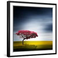 Medusa-Philippe Sainte-Laudy-Framed Premium Photographic Print