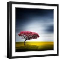 Medusa-Philippe Sainte-Laudy-Framed Photographic Print