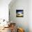 Medusa-Philippe Sainte-Laudy-Mounted Photographic Print displayed on a wall