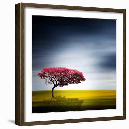 Medusa-Philippe Sainte-Laudy-Framed Photographic Print