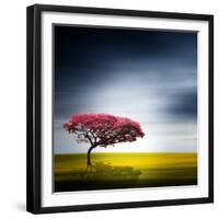 Medusa-Philippe Sainte-Laudy-Framed Photographic Print