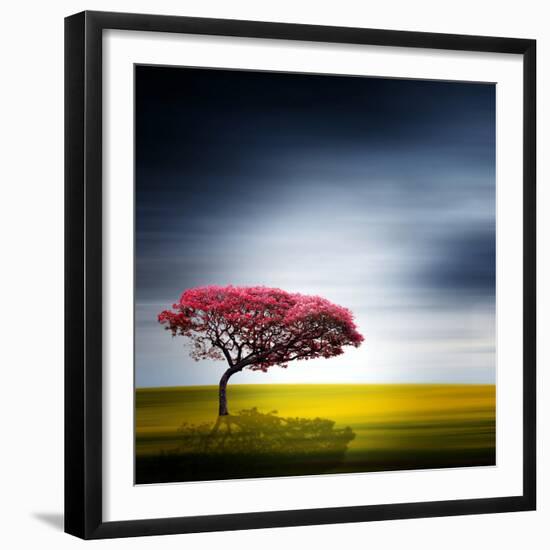 Medusa-Philippe Sainte-Laudy-Framed Photographic Print