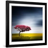 Medusa-Philippe Sainte-Laudy-Framed Photographic Print