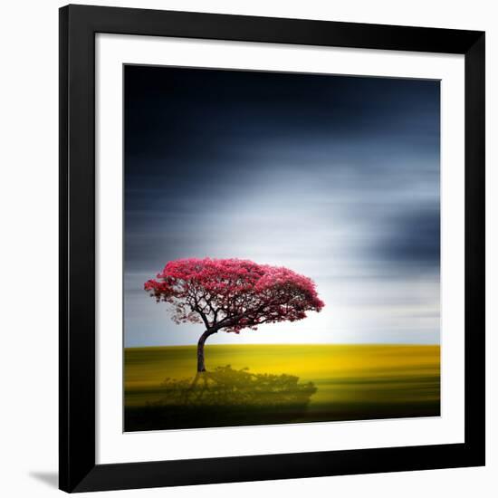 Medusa-Philippe Sainte-Laudy-Framed Photographic Print