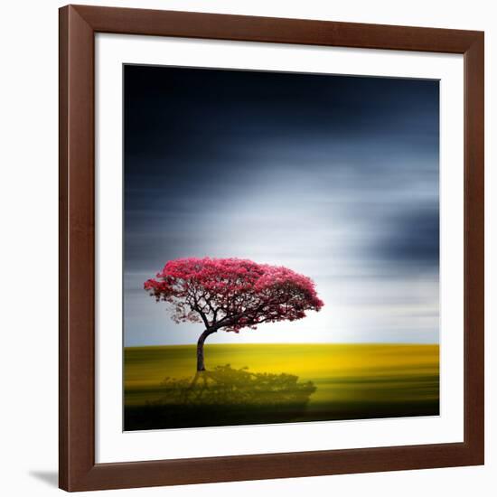 Medusa-Philippe Sainte-Laudy-Framed Photographic Print