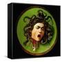 Medusa-Caravaggio-Framed Stretched Canvas