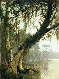 In the Bayou-Meeker-Framed Stretched Canvas