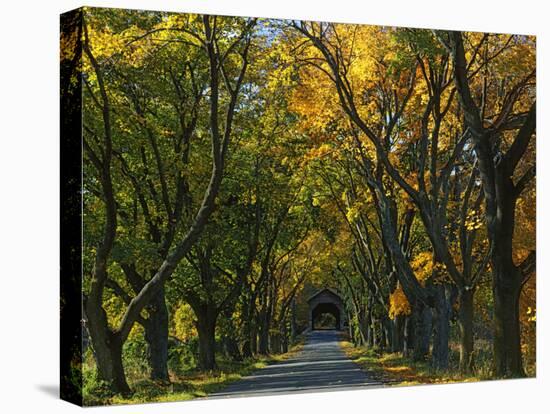 Meems Bottom Covered Bridge, Shenandoah County, Virginia, USA-Charles Gurche-Stretched Canvas