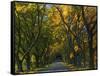 Meems Bottom Covered Bridge, Shenandoah County, Virginia, USA-Charles Gurche-Framed Stretched Canvas