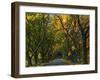 Meems Bottom Covered Bridge, Shenandoah County, Virginia, USA-Charles Gurche-Framed Photographic Print