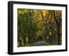 Meems Bottom Covered Bridge, Shenandoah County, Virginia, USA-Charles Gurche-Framed Photographic Print