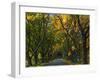 Meems Bottom Covered Bridge, Shenandoah County, Virginia, USA-Charles Gurche-Framed Photographic Print