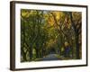 Meems Bottom Covered Bridge, Shenandoah County, Virginia, USA-Charles Gurche-Framed Photographic Print