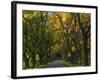 Meems Bottom Covered Bridge, Shenandoah County, Virginia, USA-Charles Gurche-Framed Photographic Print