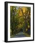 Meems Bottom Covered Bridge, Shenandoah County, Virginia, USA-Charles Gurche-Framed Photographic Print