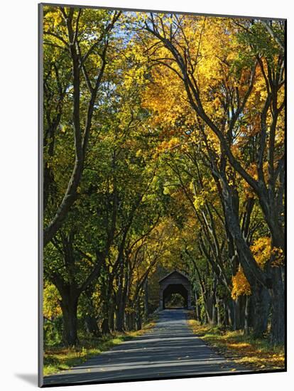 Meems Bottom Covered Bridge, Shenandoah County, Virginia, USA-Charles Gurche-Mounted Photographic Print