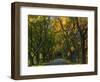 Meems Bottom Covered Bridge, Shenandoah County, Virginia, USA-Charles Gurche-Framed Photographic Print