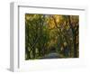 Meems Bottom Covered Bridge, Shenandoah County, Virginia, USA-Charles Gurche-Framed Photographic Print