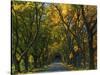 Meems Bottom Covered Bridge, Shenandoah County, Virginia, USA-Charles Gurche-Stretched Canvas