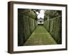 Meenyx-Tim Kahane-Framed Photographic Print