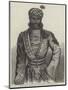 Meer Heidayut Ali, Rissaldar (Native Captain) 4th Regiment of Bengal Irregular Horse-null-Mounted Giclee Print