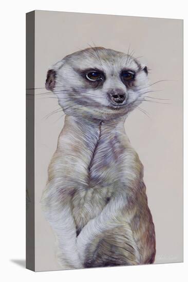 Meerkat 1, 2009-Odile Kidd-Stretched Canvas