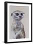 Meerkat 1, 2009-Odile Kidd-Framed Giclee Print