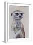 Meerkat 1, 2009-Odile Kidd-Framed Giclee Print