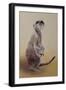 Meerkat 2, 2010-Odile Kidd-Framed Giclee Print