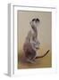 Meerkat 2, 2010-Odile Kidd-Framed Giclee Print