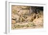 Meerkat Clean Out New Hole for Refuge-null-Framed Photographic Print