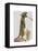 Meerkat Cowboy-Fab Funky-Framed Stretched Canvas