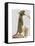 Meerkat Cowboy-Fab Funky-Framed Stretched Canvas