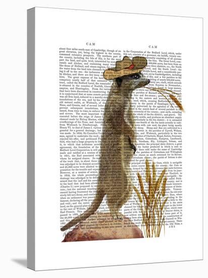 Meerkat Cowboy-Fab Funky-Stretched Canvas