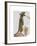 Meerkat Cowboy-Fab Funky-Framed Art Print