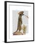 Meerkat Cowboy-Fab Funky-Framed Art Print