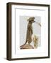 Meerkat Cowboy-Fab Funky-Framed Art Print