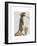 Meerkat Cowboy-Fab Funky-Framed Art Print