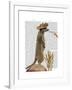 Meerkat Cowboy-Fab Funky-Framed Art Print