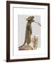 Meerkat Cowboy-Fab Funky-Framed Art Print